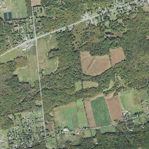 Person reported ill near Mountain View Drive in Polk Township