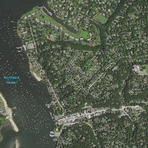 Loose black dog reported in Cow Harbor Park