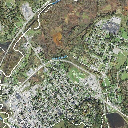Elderly woman treated for fast heart rate in Philipsburg