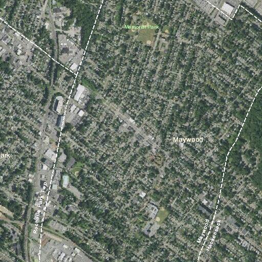 Four pediatric patients in medical call near Hamill Place Maywood