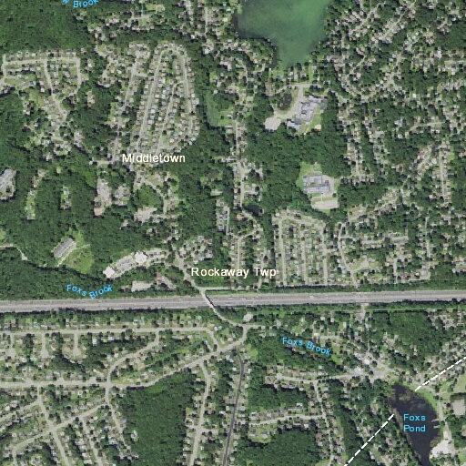 73-year-old man dizzy and lightheaded at home