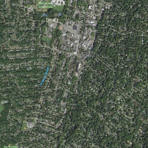 Fallen tree causes property damage on Clover Street