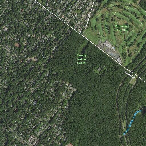 Low-hanging wires from downed branch on Tekening Drive