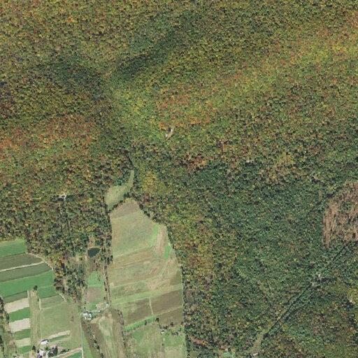 Case opened for animal cruelty at Hosterman Gap Road