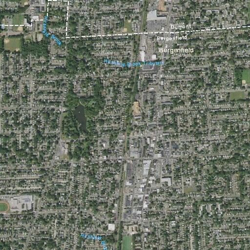 Person with diabetic emergency at Mary Hill Terrace