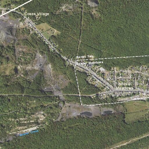 Man falls and possibly loses consciousness in Beaver Meadows