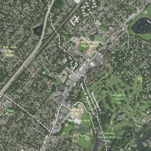 Male suffers facial laceration at Locust Avenue