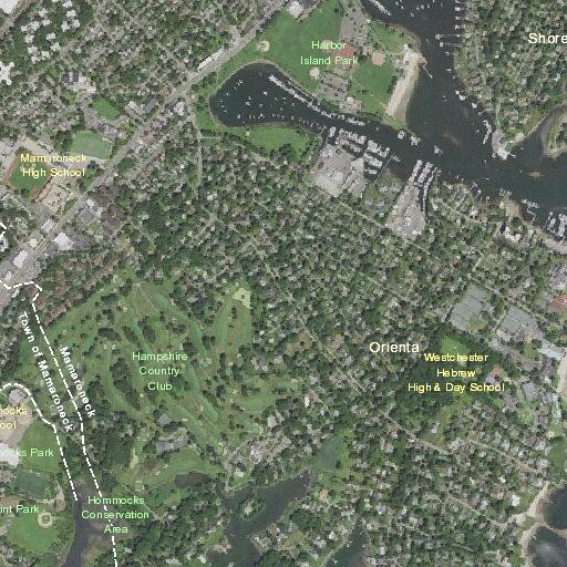 Elderly woman sustains head injury on Cove Road