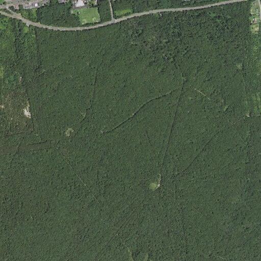 Rope rescue for person and dog in pine barrens