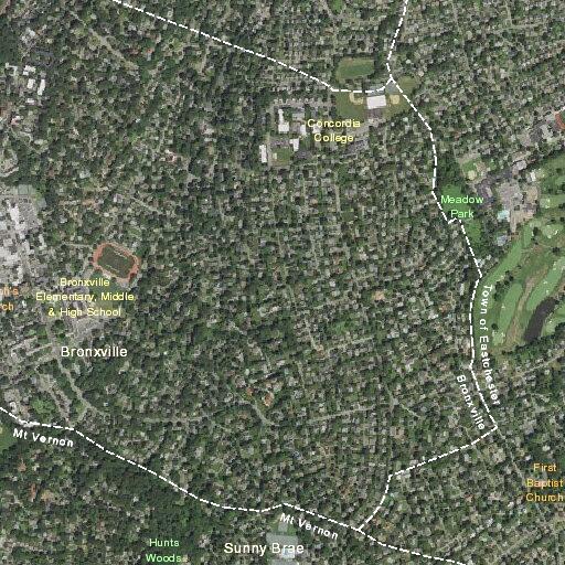 10-year-old boy having seizures near Sherman Avenue