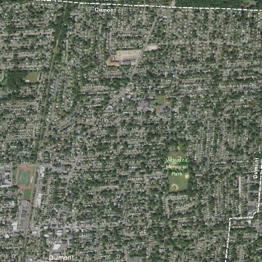 Tree limb damages two homes in Dumont