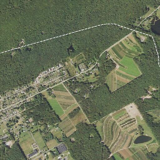 Man with altered mental status in Weatherly