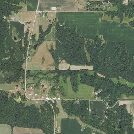 Ongoing dispute over neighbor’s dog in yard