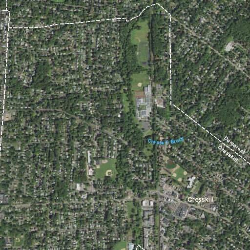 74-year-old man falls, possible stroke at Emerson St