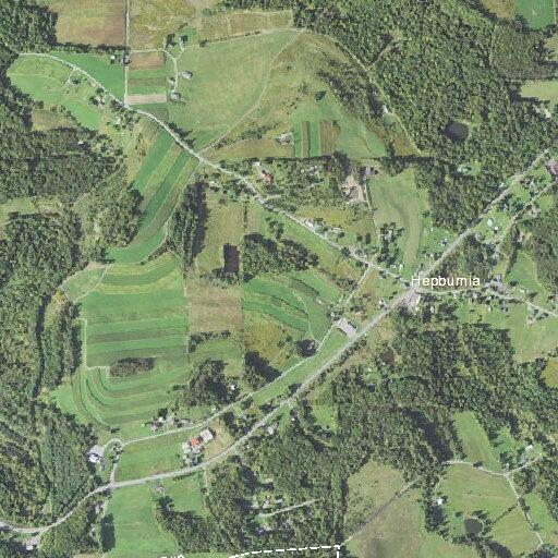 Elderly woman collapses in backyard near grampian in penn township
