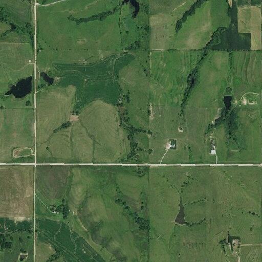 Missing calf reported near Old Mill Road