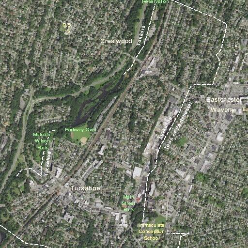 Tree reported on fire near White Plains Road