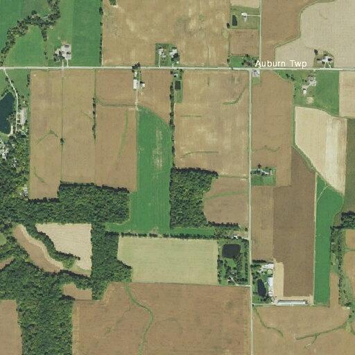 Person having breathing difficulty on State Route 39