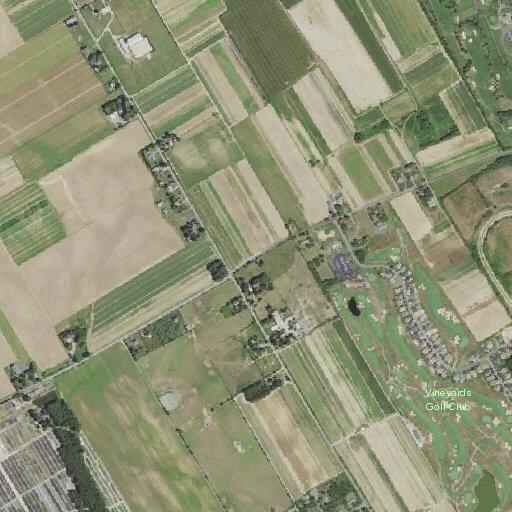 Toddlers reported sitting on roadway; later moved into nearby yard