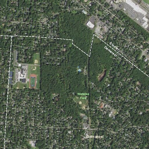 Elderly woman falls near Blanche Ave
