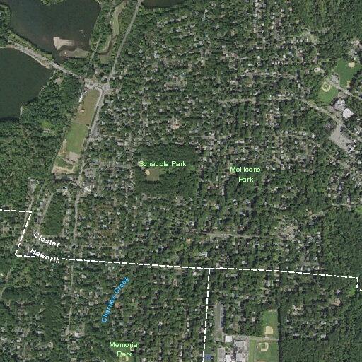 Fraud report near Prospect Street in Demarest