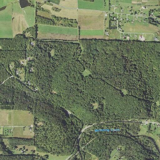 Utility lines down on Rock Run Road