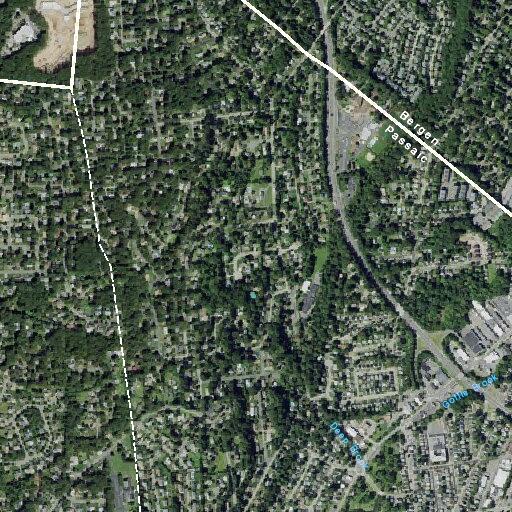 Tree falls onto parked vehicle on Hillcrest Avenue