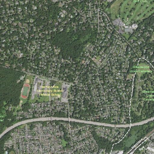 Welfare check near Nelson Avenue in Harrison, NY
