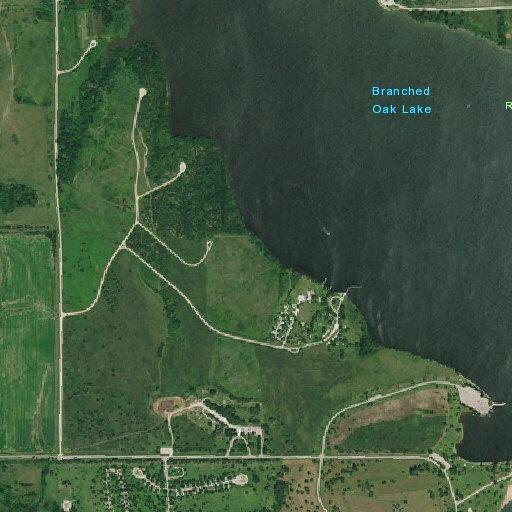 Dog left tied to tree at Branched Oak campground