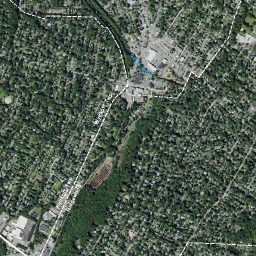Male with low heart rate near Claremont Road