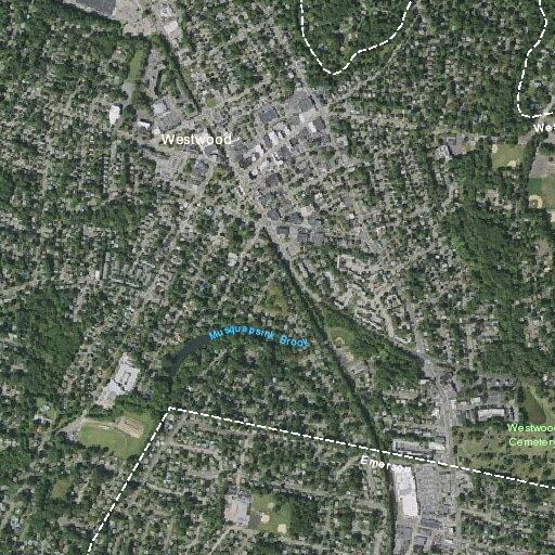 Faulty fire alarm near Linden Avenue