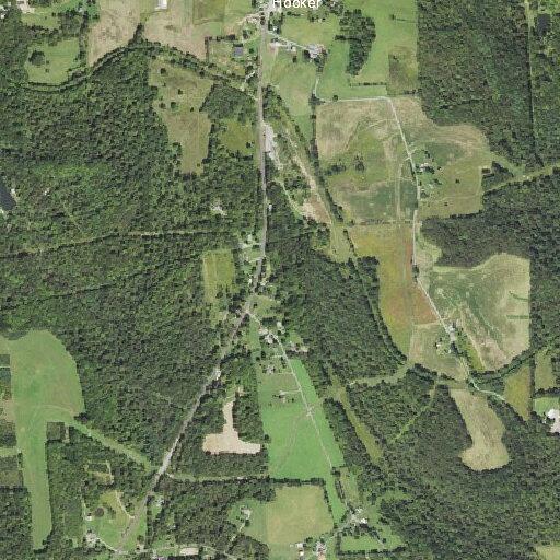 Man falls near Beach Road in Delta Township