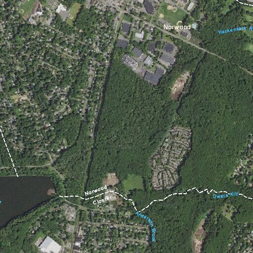 Woman, 80s, falls near Blanch Ave in Demarest
