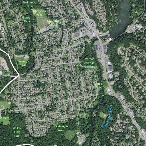 Tree blocks roadway on Magnolia Avenue