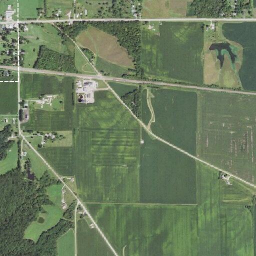 Juveniles found passed out in field on Ashland Road