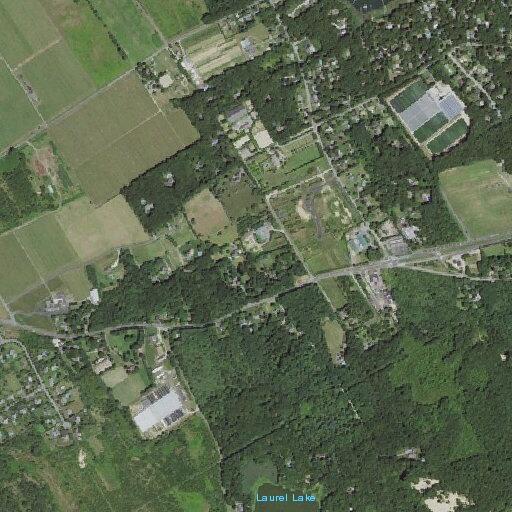 Car strikes deer on Sound Avenue