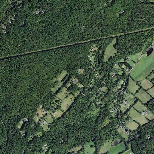 Person experiencing chest pain at Cobblewood Road