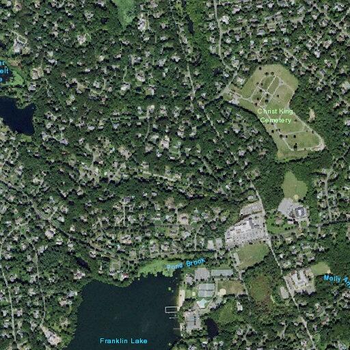 Contractor sets off fire alarm at High Mountain home