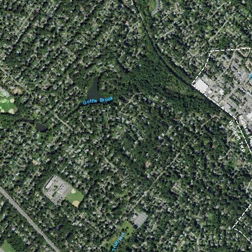 Fiber line removed from Carriage Lane roadway