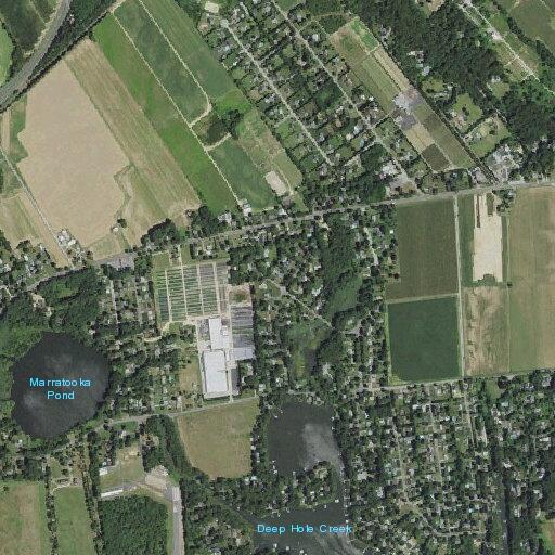 Suspicious white BMW parked on Blossom Bend