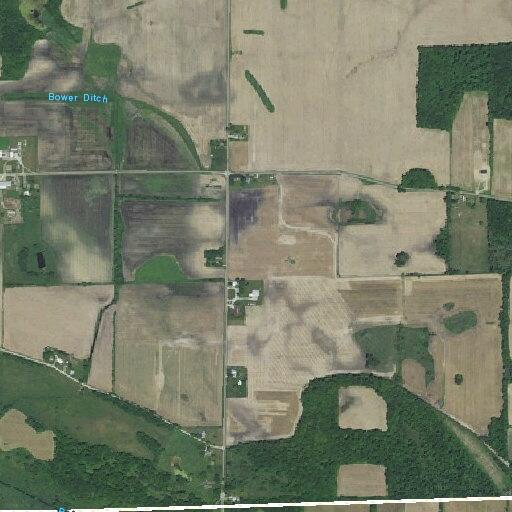Multiple trees down blocking road on North 800 East