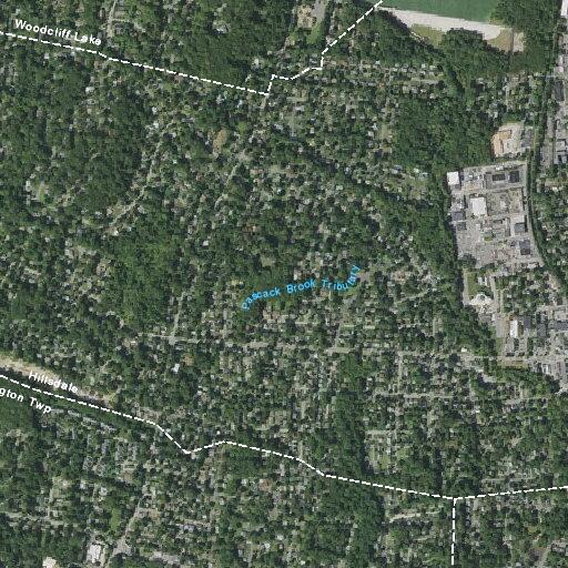 Cable line down across roadway on McKinley Avenue