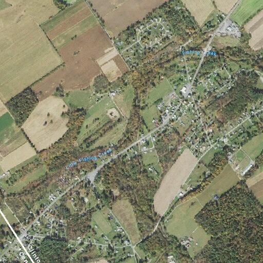 Tree blocks both lanes on Young Womans Creek Road