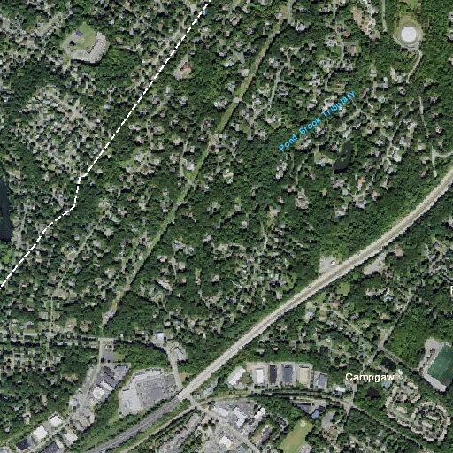 Man falls and has seizure near Franklin Avenue