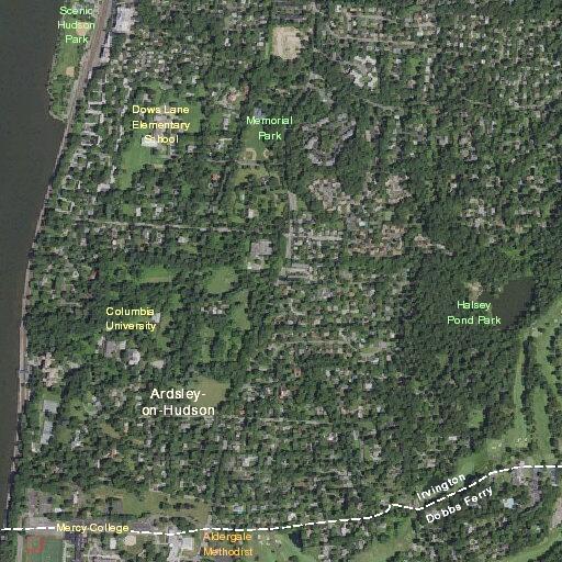 Tree down closes Langdon Avenue overnight