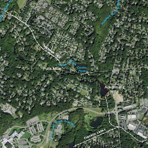 Documents stolen from property on Parsons Pond Road
