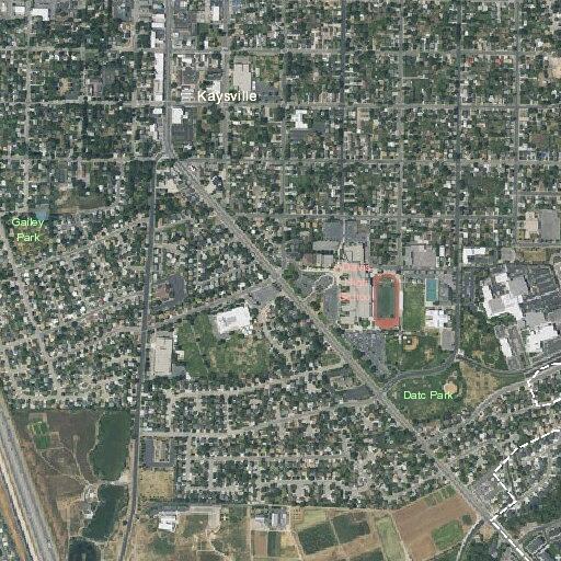 Person experiencing psychiatric issue near South Main Street