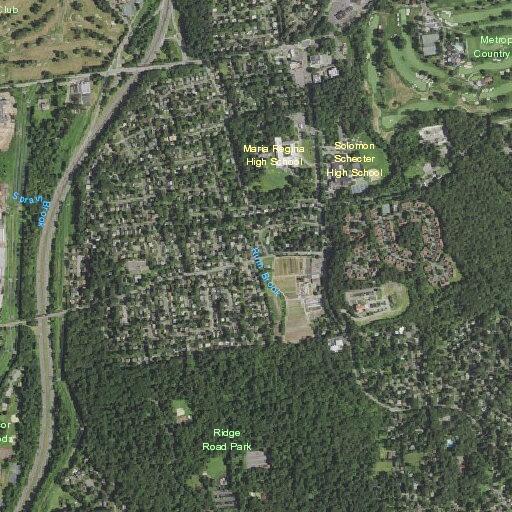 Male with nosebleed near Moore Street in Hartsdale