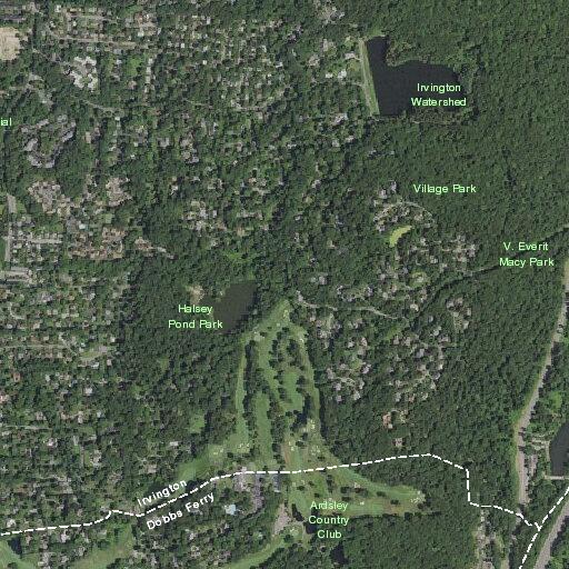 Officers check area after coyote reported near pond