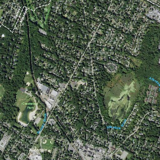 Possible carbon monoxide issue near Scottler in Allendale